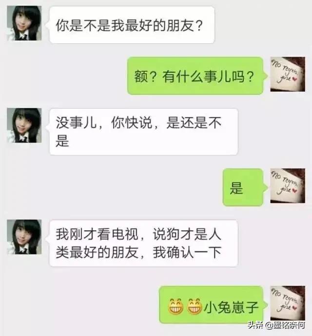 开心笑话:女友喝多了,蹲在门口跟我家狗谈人生,结果狗都不理她 开心笑话:女友喝多了,蹲在门口跟我家狗谈人生,结果狗都不理她
