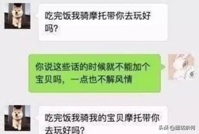 开心笑话:女友喝多了,蹲在门口跟我家狗谈人生,结果狗都不理她 开心笑话:女友喝多了,蹲在门口跟我家狗谈人生,结果狗都不理她
