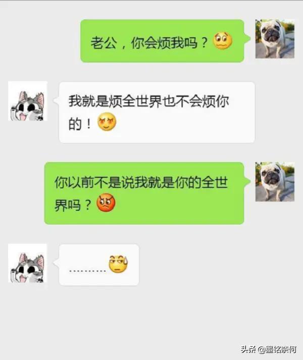 开心笑话:女友喝多了,蹲在门口跟我家狗谈人生,结果狗都不理她 开心笑话:女友喝多了,蹲在门口跟我家狗谈人生,结果狗都不理她