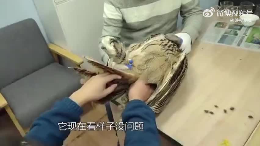轻松一刻:＂杨过＂的人给没阳的留句经验,你最想说啥