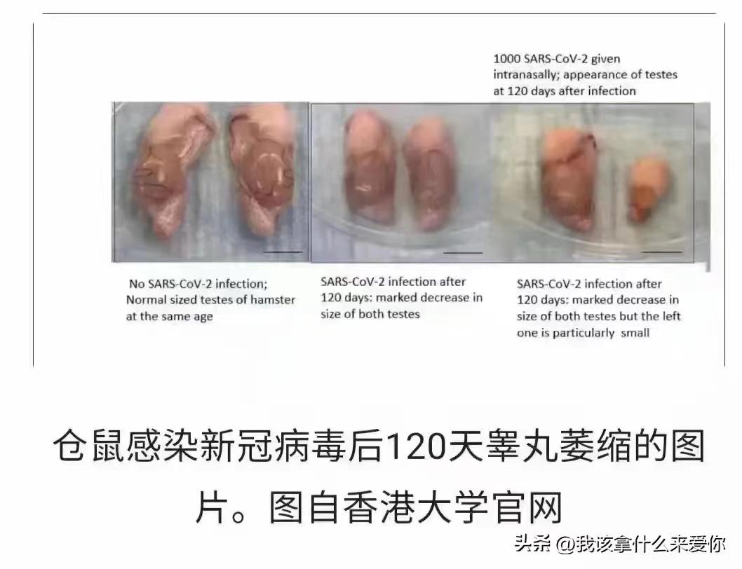 轻松一刻:＂杨过＂的人给没阳的留句经验,你最想说啥