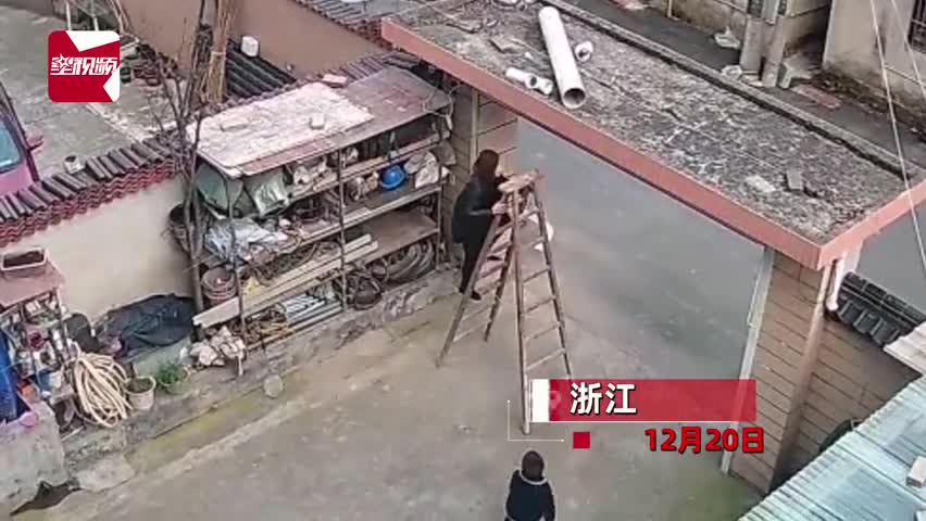 轻松一刻:＂杨过＂的人给没阳的留句经验,你最想说啥