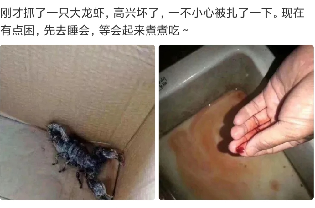 想了一路,不知道自己输在哪里了 想了一路,不知道自己输在哪里了