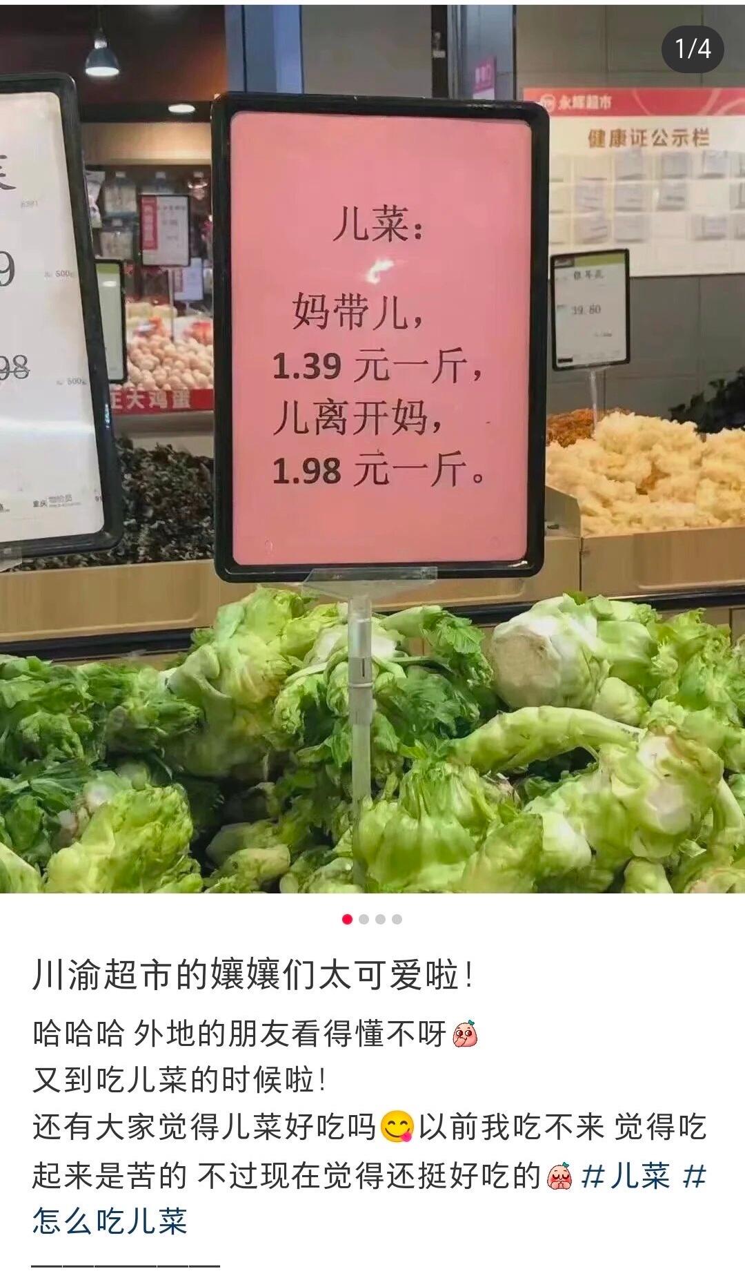 想了一路,不知道自己输在哪里了 想了一路,不知道自己输在哪里了