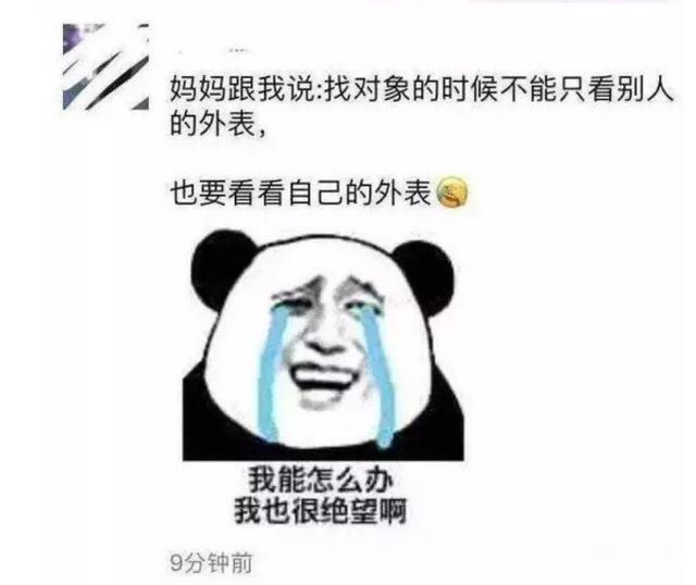 笑到胃疼的“朋友圈”，看完能承包你一年的笑点，网友：属实优秀