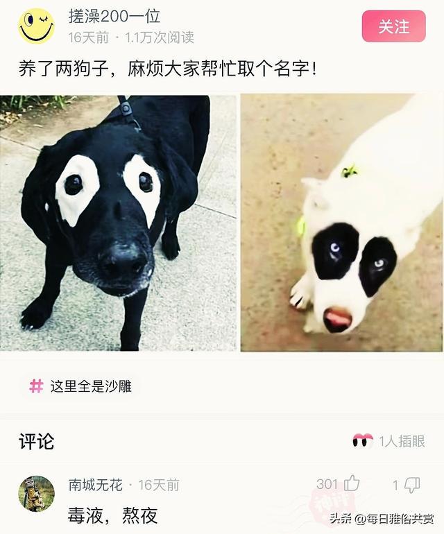 【盐选神回复】这些东西的主人是谁? 【盐选神回复】这些东西的主人是谁?