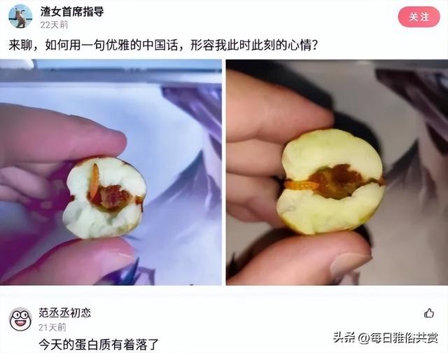 【盐选神回复】这些东西的主人是谁? 【盐选神回复】这些东西的主人是谁?