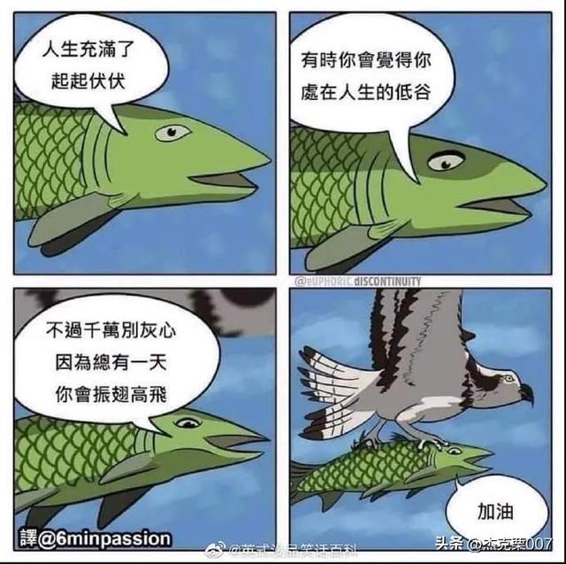 那些让人笑到肚子疼的搞笑图片 那些让人笑到肚子疼的搞笑图片