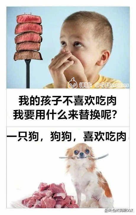 那些让人笑到肚子疼的搞笑图片