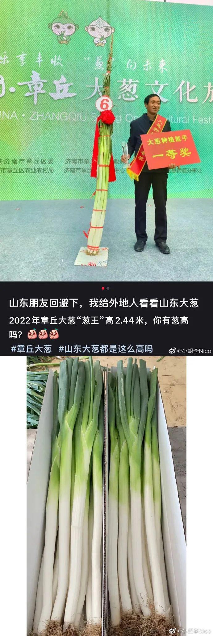 轻松一秒:这衣服!能驾驭起来的都是个狠人! 轻松一秒:这衣服!能驾驭起来的都是个狠人!