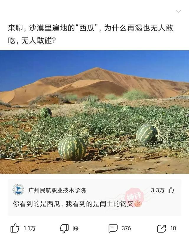 神回复：沙漠里遍地的西瓜，为什么再渴也无人敢吃，无人敢碰？