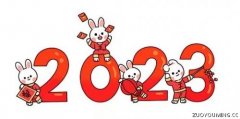 2023年兔年新年女生好听网名