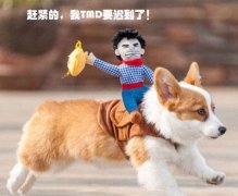 赶紧的跑起来，老子要迟到了！