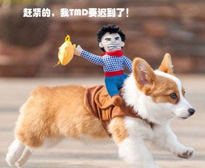 赶紧的跑起来，老子要迟到了！