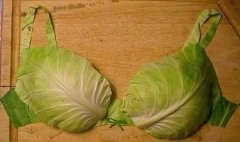 真是绿色环保啊 真是绿色环保啊