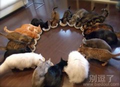 有生之年如果这样 子孙满堂。也算幸福。