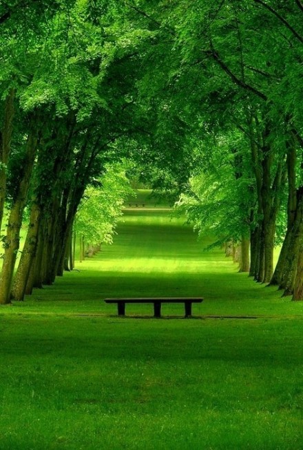 世界上最美丽的风景,一定含有绿色。