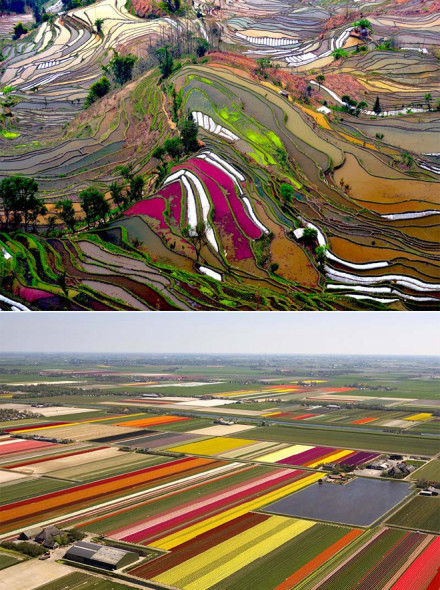 世界上最美丽的风景,一定含有绿色。