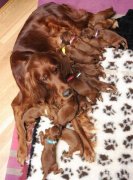 生这么多你吃的消么 生这么多你吃的消么