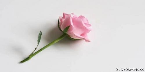 简单又好听的微信昵称 简单又好听的微信昵称