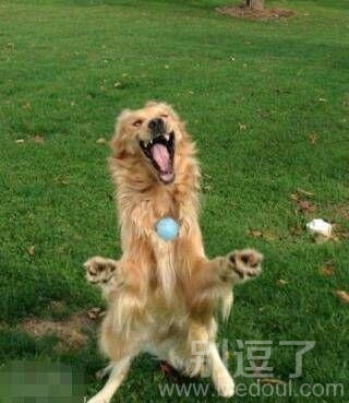 往哪扔呢啊...