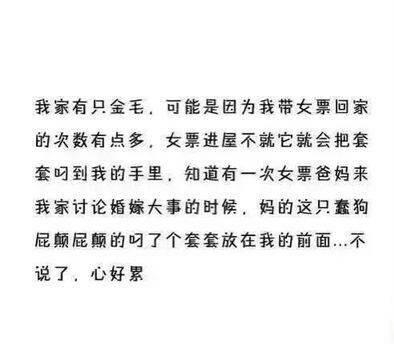 让家里的笨狗坑死了