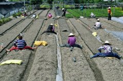 做农民真不容易 做农民真不容易