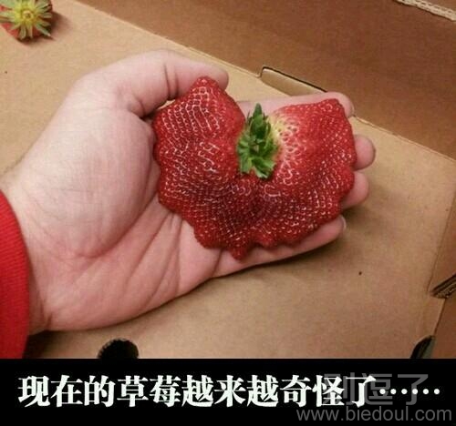 越来越奇怪的草莓。