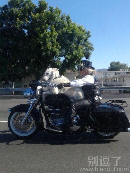 这也搭起来也可以走得很快? 这也搭起来也可以走得很快?