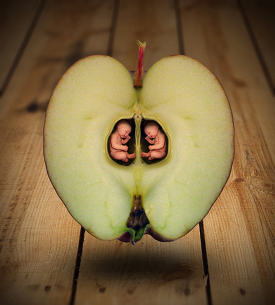 趣味的苹果创意图片。