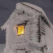 在雪地里的温暖。。