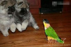 新来的室友简直太凶残，吓死宝宝了！