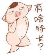 有啥特长表情包