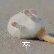 卒表情包 卒表情包