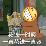 花钱一时爽 一向花钱一向爽表情包