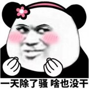 这一天除了骚 啥也没干表情包