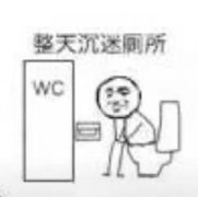 整天沉迷厕所不能自拔表情包