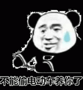 被戴上手铐 不能偷电动车养你了表情包