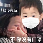 想出去玩 不 你没有口罩表情包