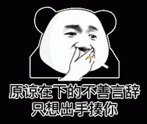 原谅在下的不善言辞只想出手揍你（熊猫头表情包）表情包