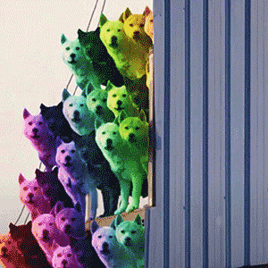 汪星人带着弟兄们来看你了表情包