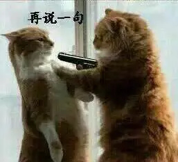 再说一句表情包