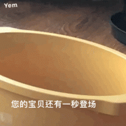 （狗狗表情包）你的宝贝还有一秒登场 我来啦表情包