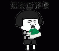谁要圣诞帽 我这有顶绿色的表情包