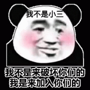 我不是小三我不是来破坏你们的我是来加入你们的(熊猫头表情包)表情包