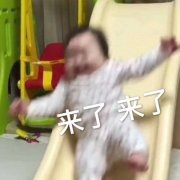 来了来了（萌娃黄夏温表情包）表情包