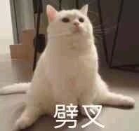 劈叉表情包