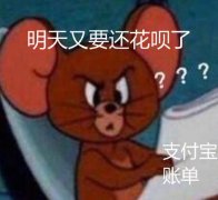 （杰瑞表情包）明天又要还花呗 支付宝账单表情包