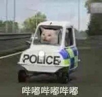 猫咪表情包 POLICE 哔嘟哔嘟哔嘟表情包