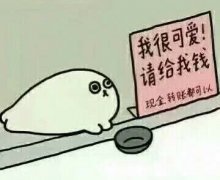 我很可爱 请给我钱 现金 转账都可以表情包